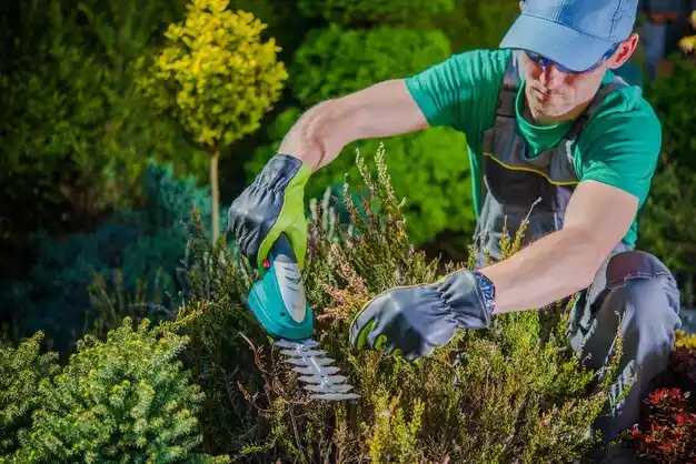 landscaping services Mangham